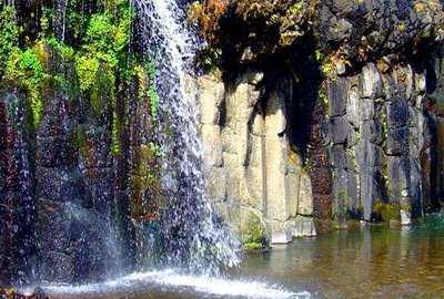 长白石林风景区