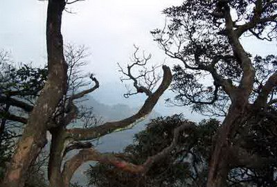 屏山县老君山风景区