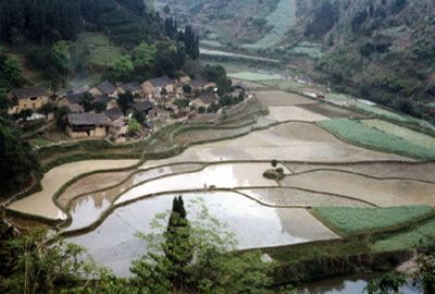 雷家寨