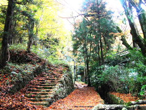 瑞宝寺公园