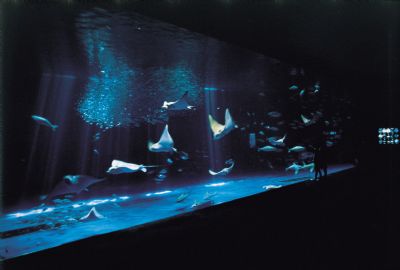 鹿儿岛水族馆