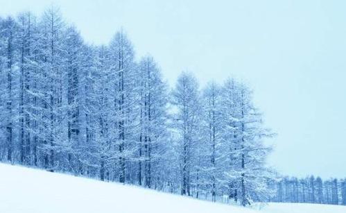 雪岭云杉自然保护区