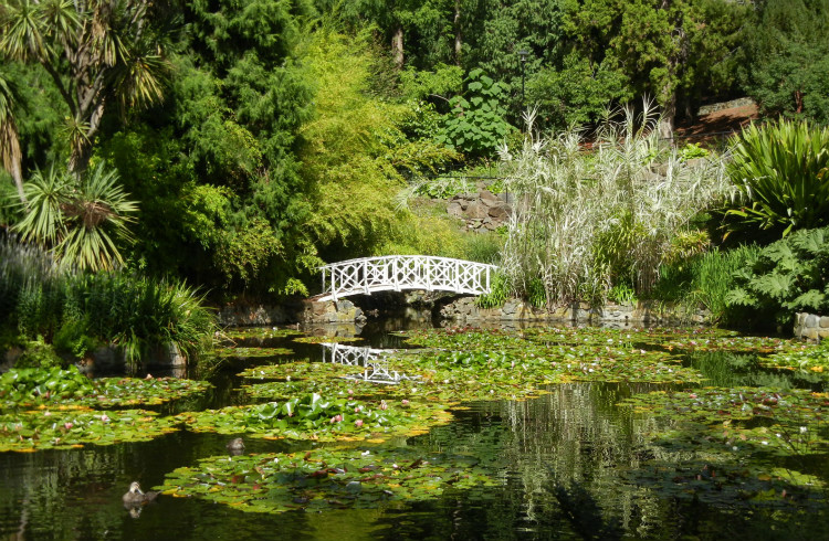 皇家植物园