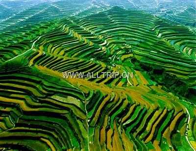 庄浪梯田