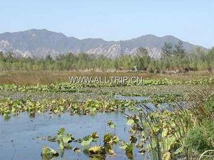 翠湖水乡