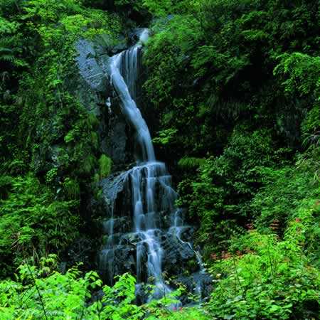 黄岩峡谷