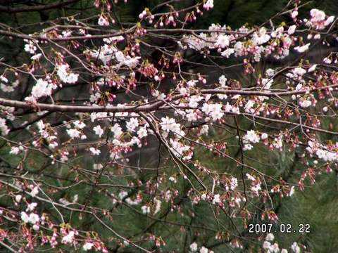 衢州桃花源农家乐