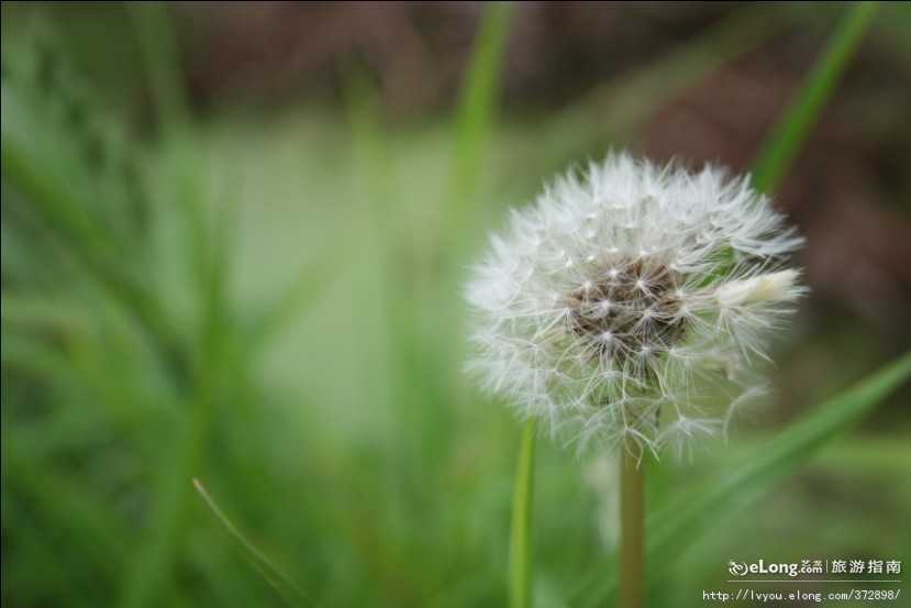 毕节森林公园