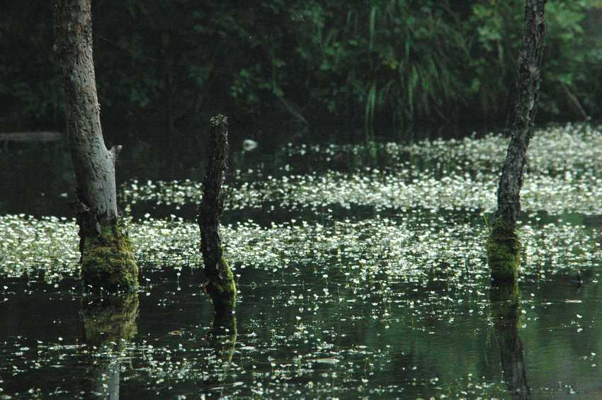 松山森林旅游区