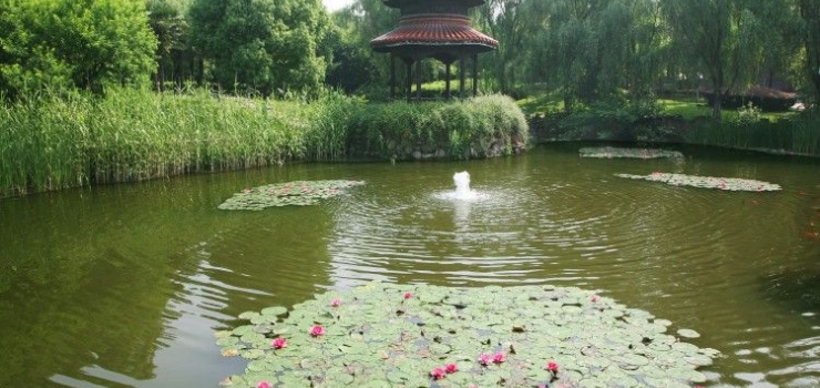 南京出发天目湖湿地公园、高淳“亚溪国际慢城”观向日葵一日游