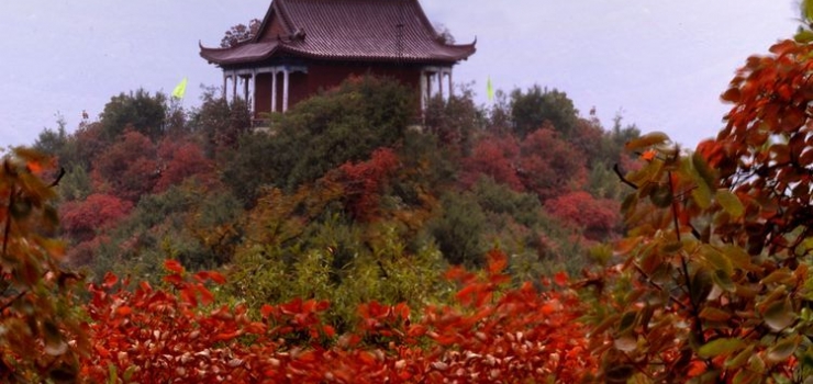 山里泉图片/照片_图片_山里泉_景点_晋城旅游_全程