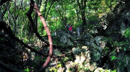 学生旅游 景点简介:                               去太子山王莽洞