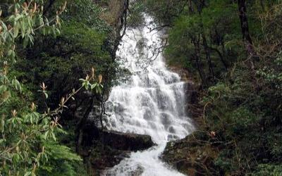 【百山祖自然保护区】丽水百山祖自然保护区门票价格