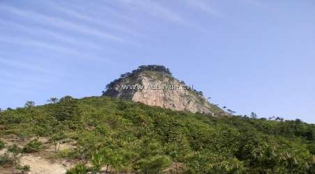 全程旅游网首页 湖北 黄冈旅游 景点 大崎山  分享到: 所属地区: 景点