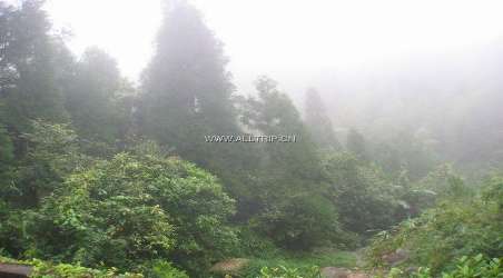 简介:                               大雾岭旅游区地处茂名市北部